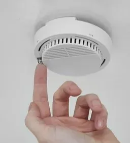 iDetectPro reviews user Sarah